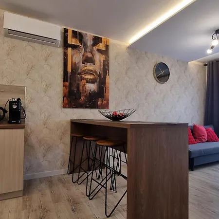 公寓 Q Zenith- Trzypokojowy, Klimatyzowany Przy Manufakturze Z Garazem Gratis, Fv 罗兹